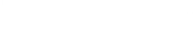 Logo boekhouderzzp.com